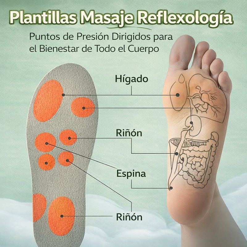 ¿Qué hace a ElevAlign tan especial?
